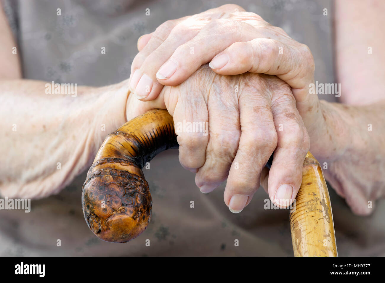 Old woman hands with cane Stock Photo