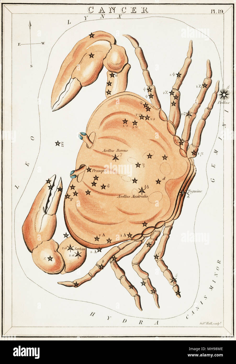 Cancer.  Card Number 19 from Urania's Mirror, or A View of the Heavens, one of a set of 32 astronomical star chart cards engraved by Sidney Hall and publshed 1824. Stock Photo