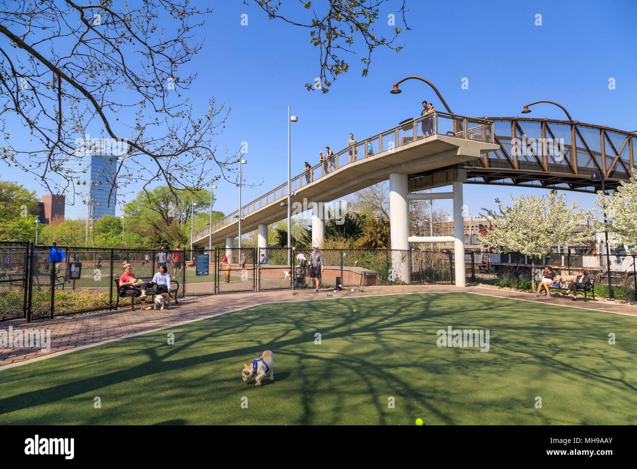 Schuylkill River Park Dog Park in Fitlers Square neighborhood, Philadelphia Skyline in  background, Philadelphia, Pennsylvania, USA Stock Photo