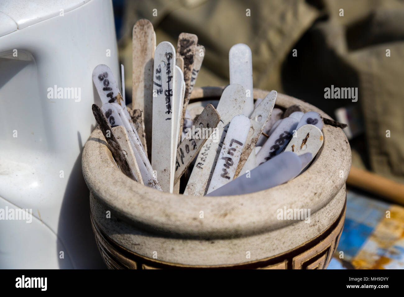 plant labels and markers in a ceramic pot Stock Photo