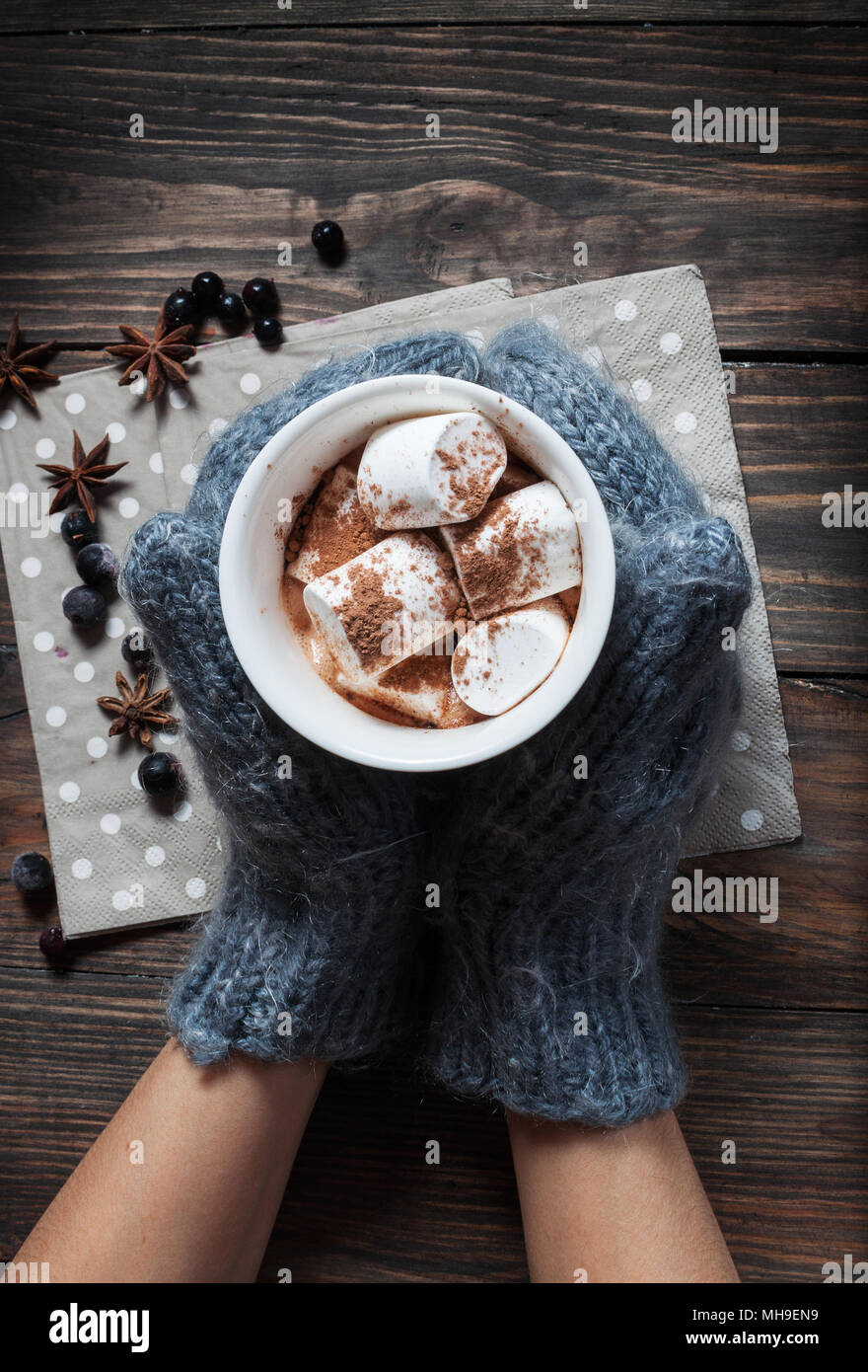 Hands in knitted mittens holding hot chocolate in grey heart cup with marshmallow and cinnamon, closeup Stock Photo