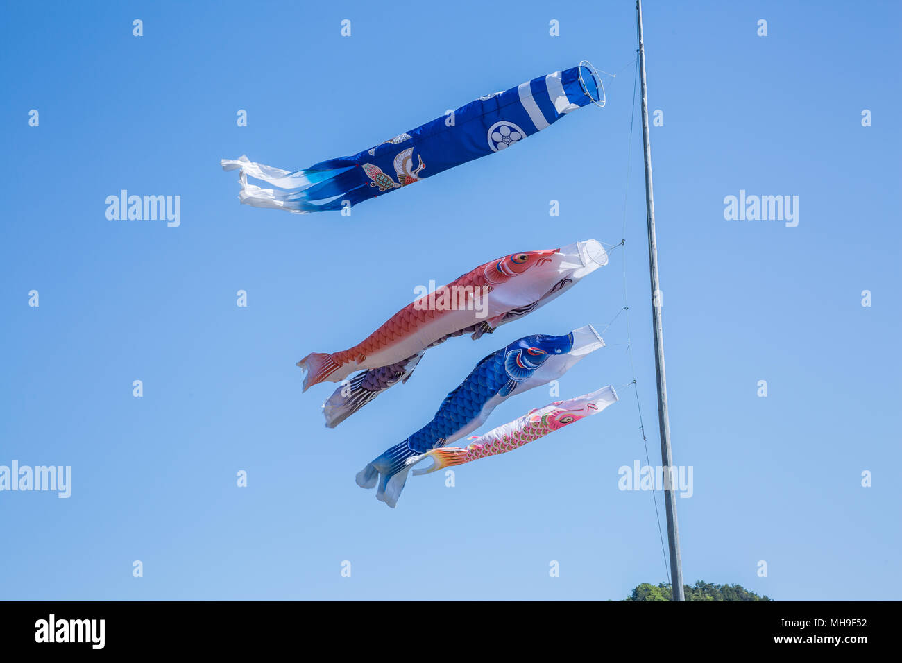 Carp streamers float in the breeze in Japan to celebrate Children's Day. Stock Photo