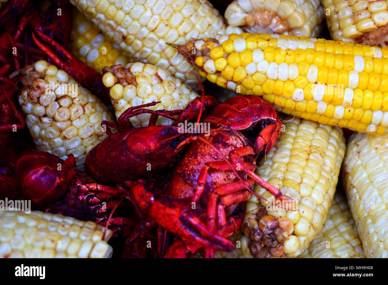 Good eats: crawfish boil Stock Photo