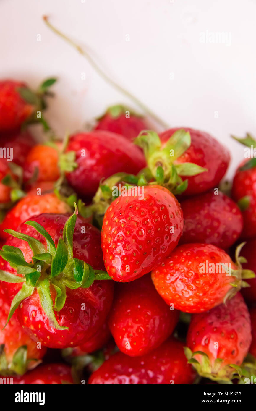Heap of Ripe Organic Garden Strawberries Washed in Colander with Glossy Surface Texture. Summer Vitamins Preparing Cooking Preserves. Vibrant Colors.  Stock Photo