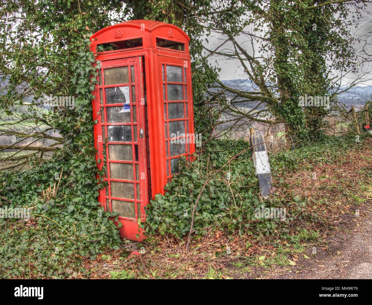 Red disused telephone box covered in Ivy, Stanton in the peak, Derbyshire Stock Photo