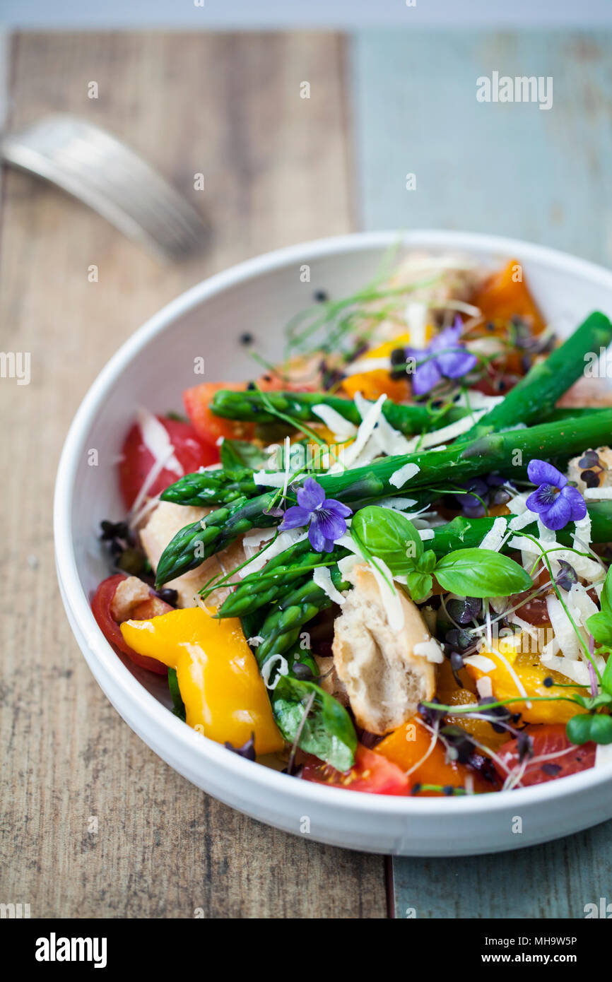 Italian panzanella bread and tomato salad with roast peppers, asparagus, parmesan and micro greens Stock Photo