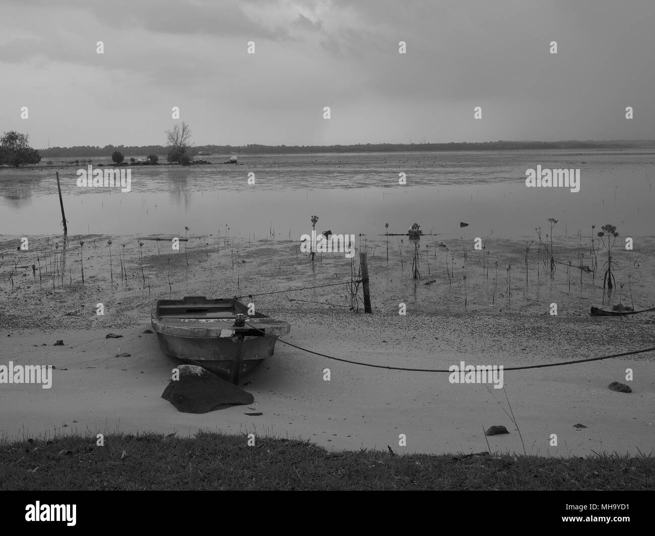 Low Tide Stock Photo