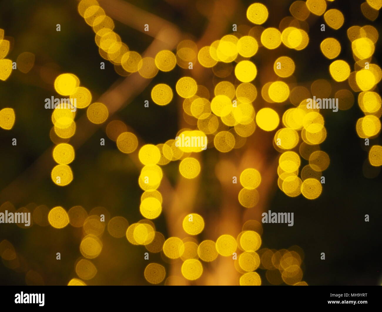 Tree Lights in Downtown Stock Photo Alamy