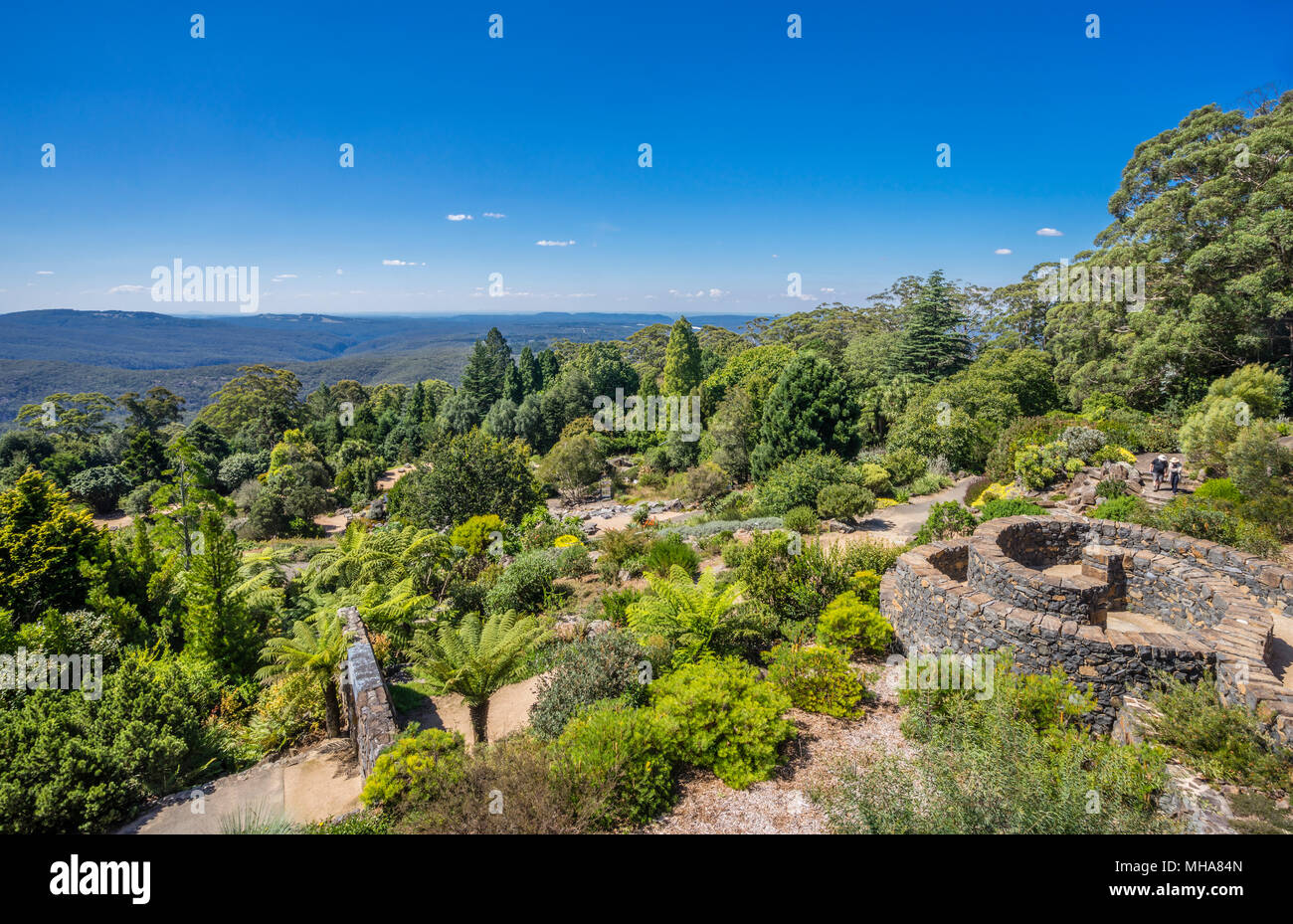 Blue Mountains Botanic Garden, Mount Tomah, the 128 hectare public garden, 1000 m above sea level specializes in cool-climate plants, New South Wales, Stock Photo