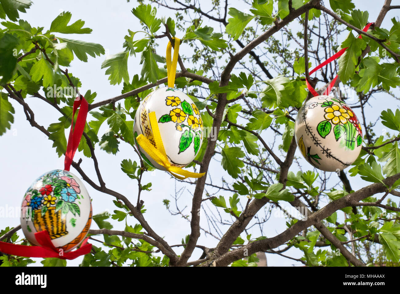 Easter egss hanging on the twig in the garden Stock Photo