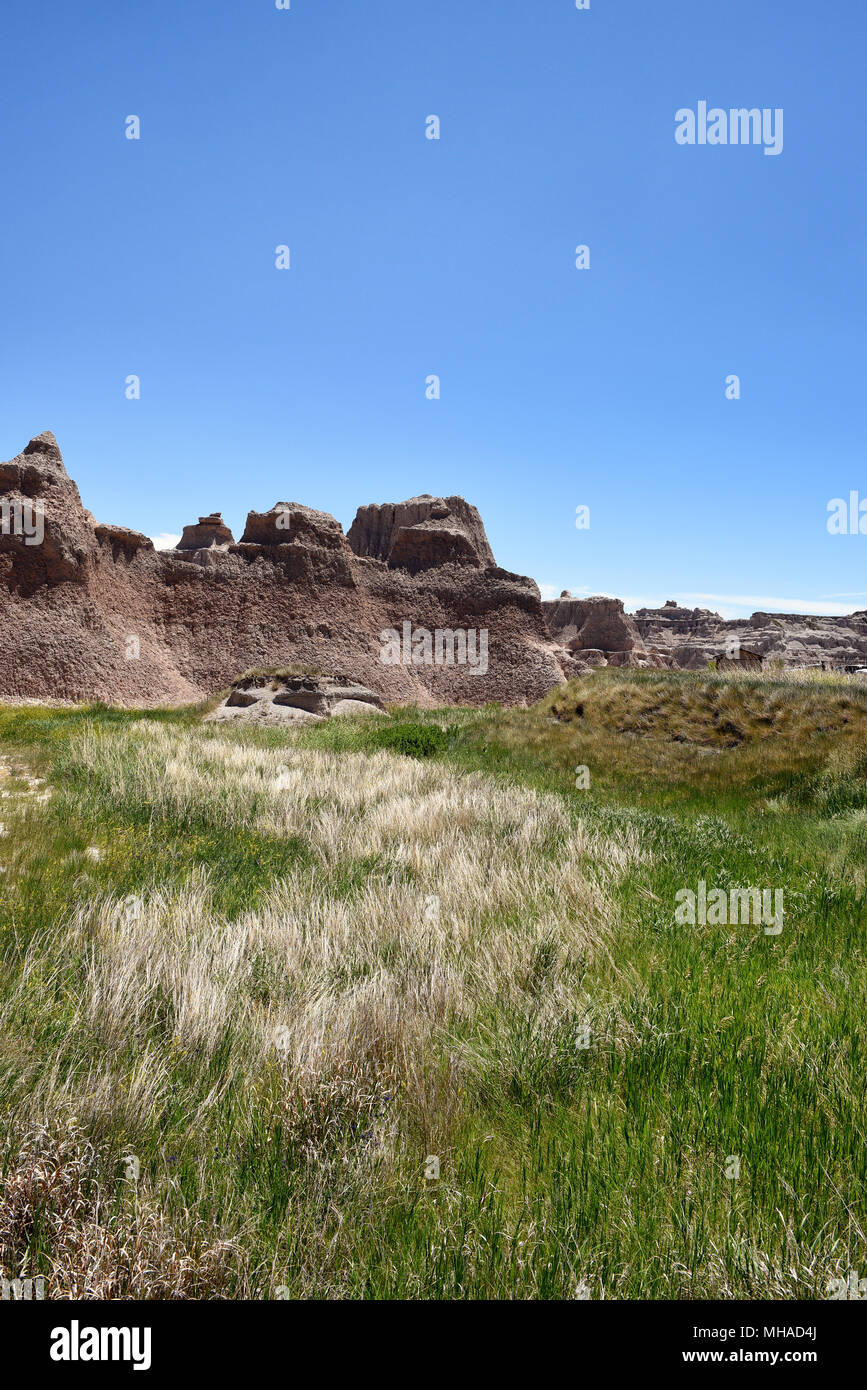 Prairie Grass and Pinacles at Badlands National Park, in South Dakota. Stock Photo