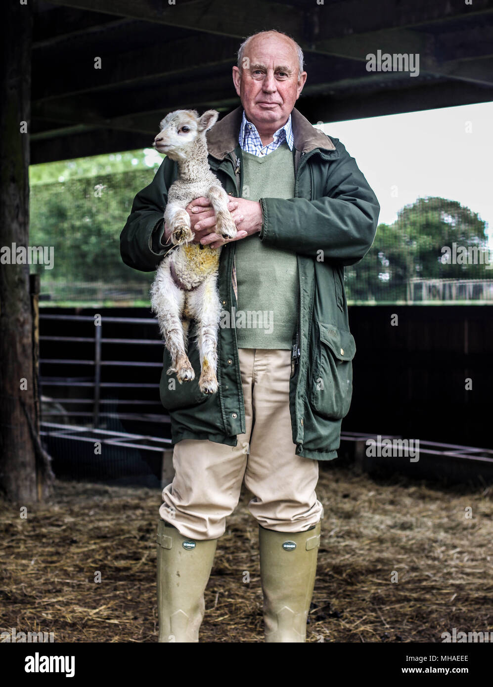 Farmer with a lamb Stock Photo