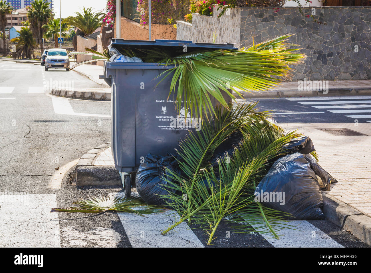 Leaves in trash bin Stock Photo Alamy