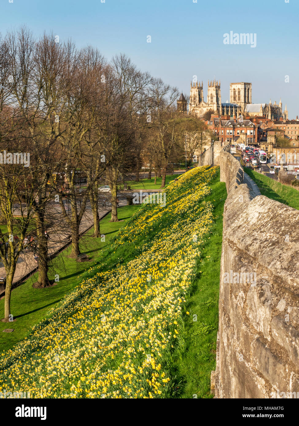 The city walls in spring with York Minster in the distance York