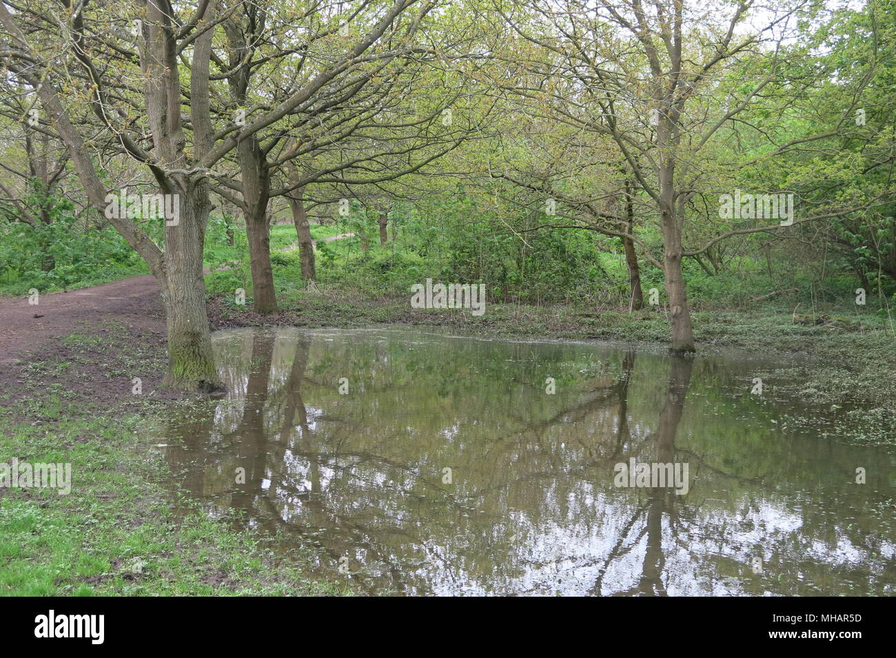 Delapre abbey hi-res stock photography and images - Alamy