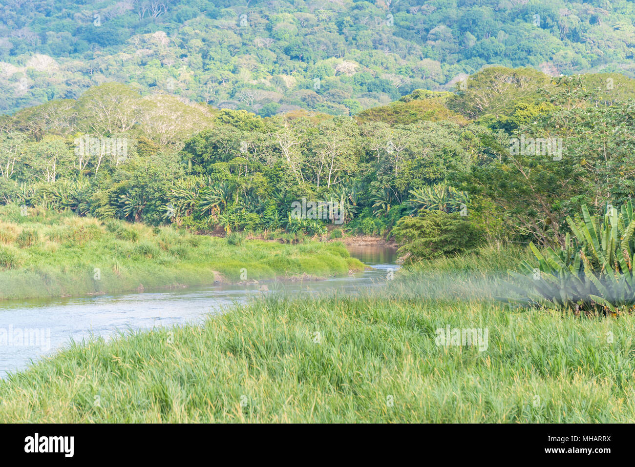 River in Costa Rica in rainforest Stock Photo - Alamy