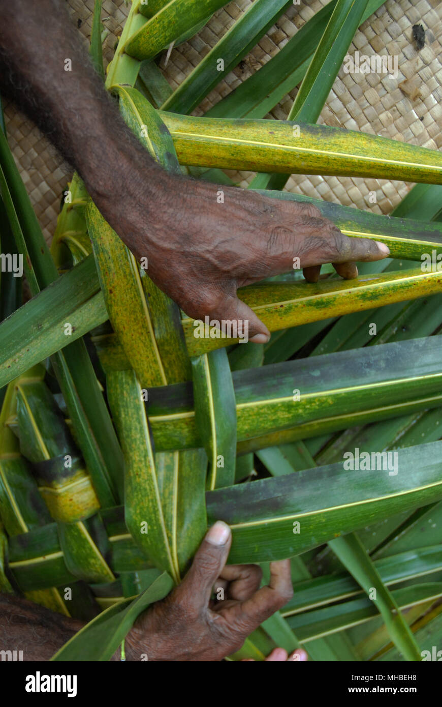 Fijian man creates a basket from weaving a Coconut Palm leaves, Pacific Harbour, Fiji. Stock Photo