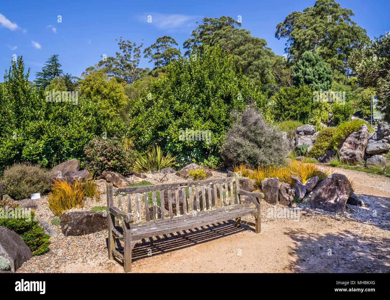 bench in an idyllic corner of Blue Mountains Botanic Garden, Mount Tomah, the 128 hectare public garden, 1000 m above sea level specializes in cool-cl Stock Photo