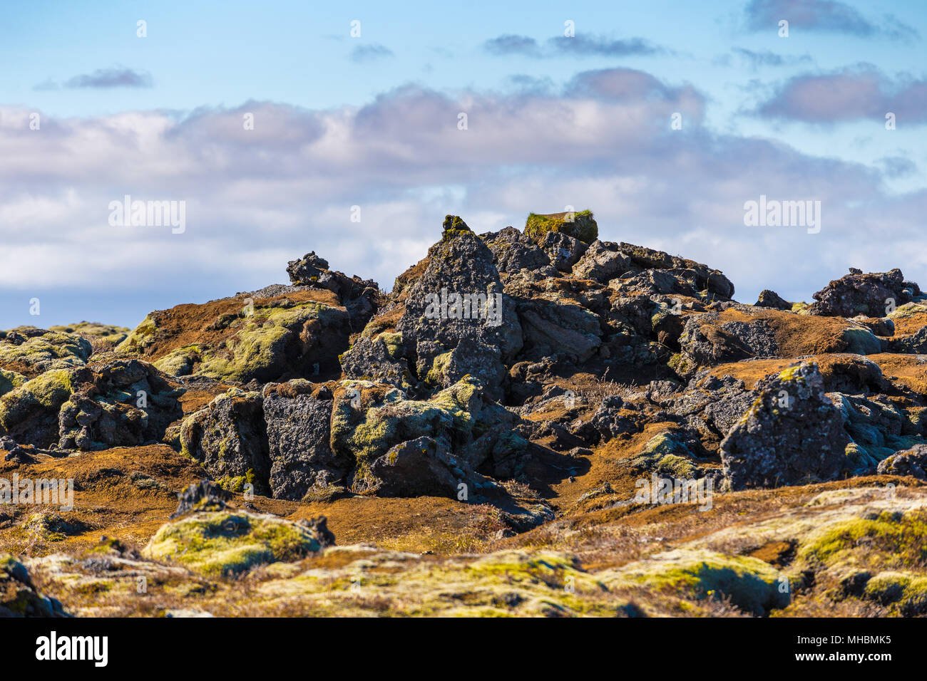 Mossy lava field near City of Vik, Iceland Stock Photo