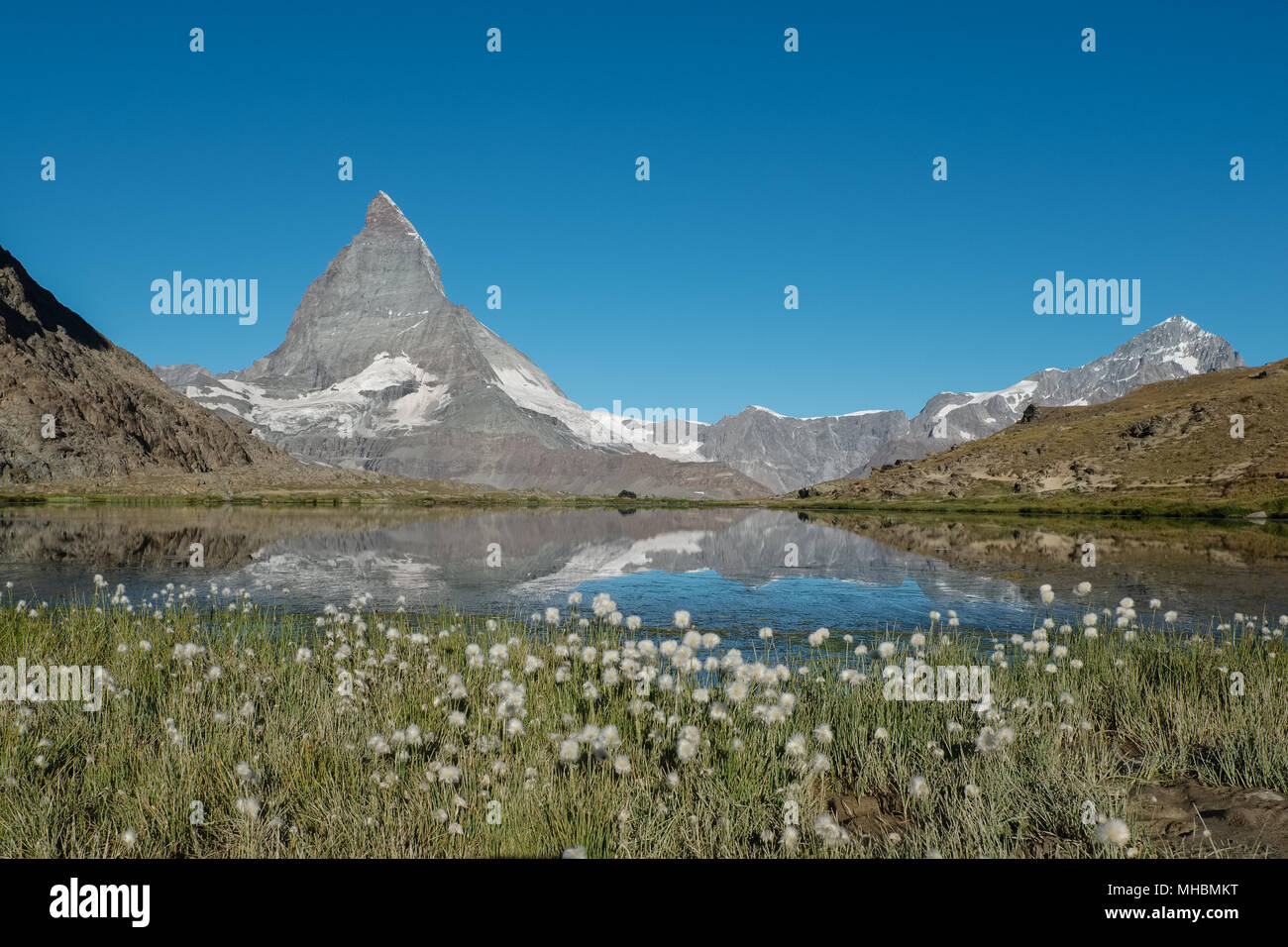 View on cotton grass and Matterhorn reflected in Lake  Riffelsee near Zermatt, Switzerland. Stock Photo