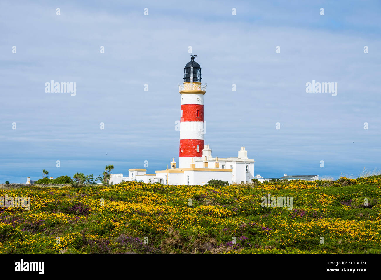 Point of Ayre Lighthouse, Isle of Man, United Kingdom Stock Photo