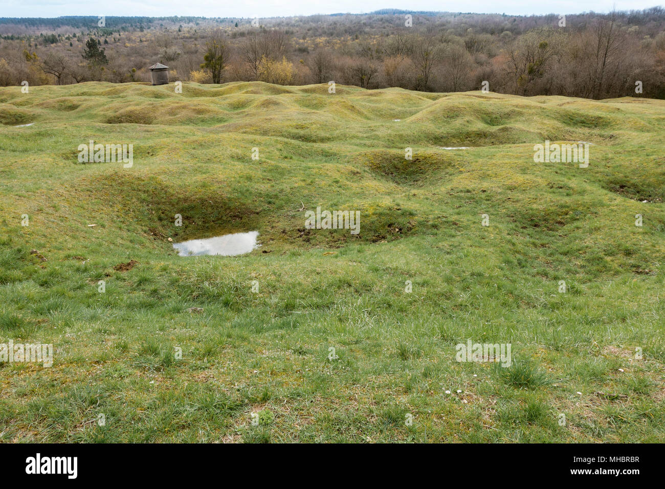 Open terrain with grenade funnels overgrown with grass, destroyed village Fleury-devant-Douaumont, First World War, Verdun Stock Photo