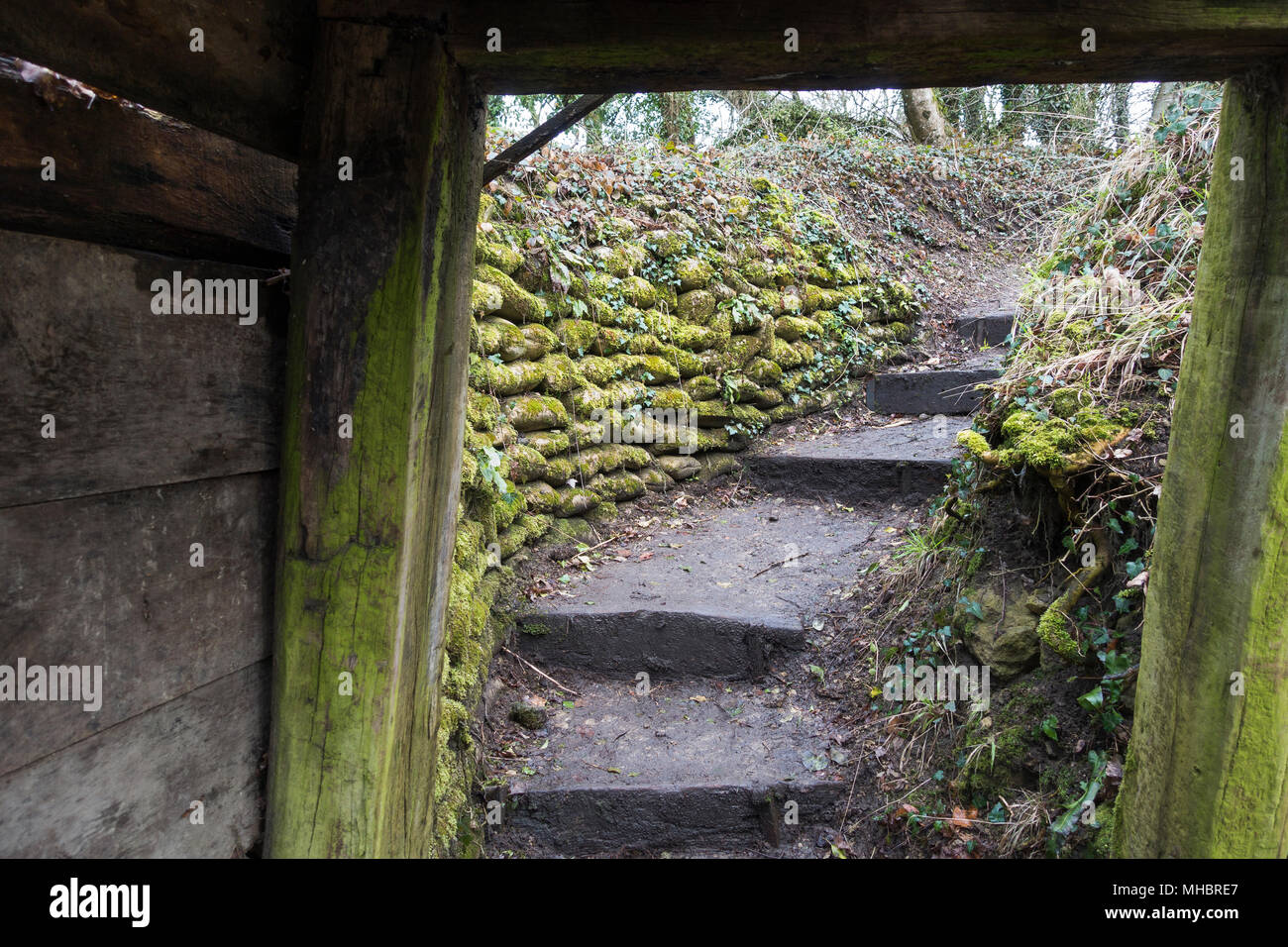 World war i france tunnel hi-res stock photography and images - Alamy