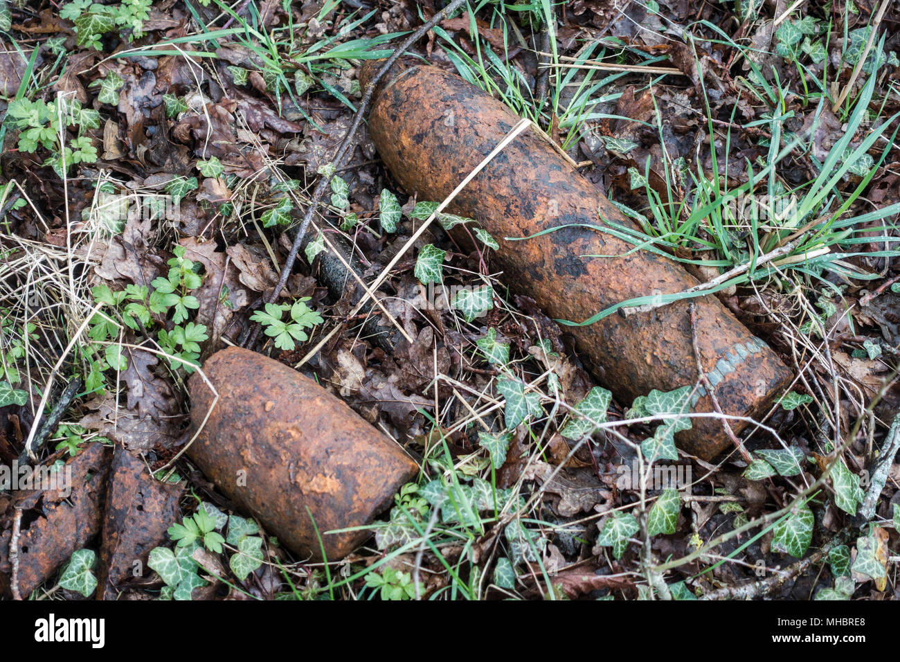 Vauquois Hill, grenades in the area, unexploded ordnance, First World War, near Verdun, Vauquois, Grand Est, France Stock Photo
