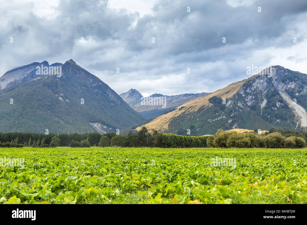 Queenstown in New Zealand. The city of adventure and nature Stock Photo ...