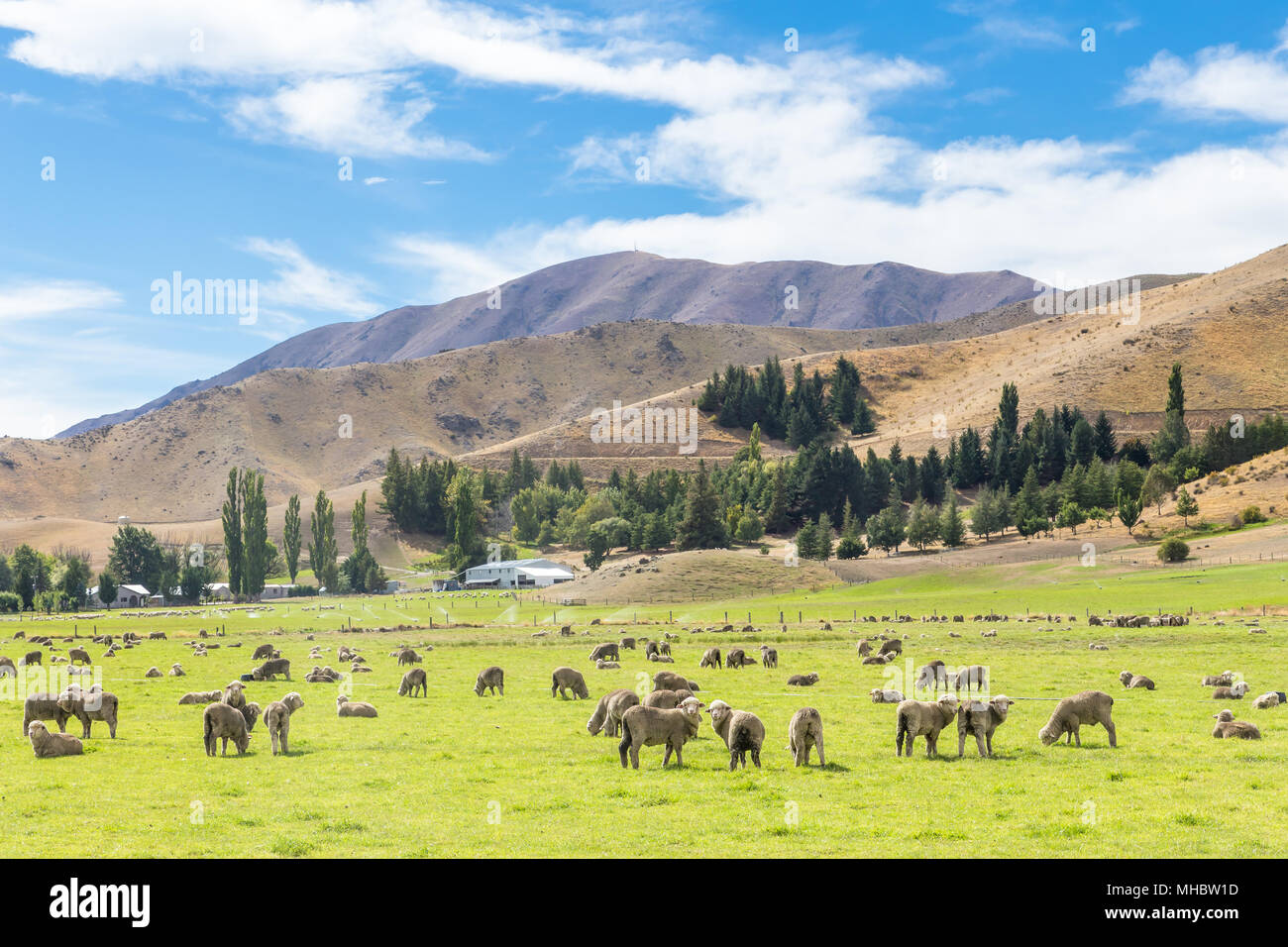 Queenstown in New Zealand. The city of adventure and nature Stock Photo ...