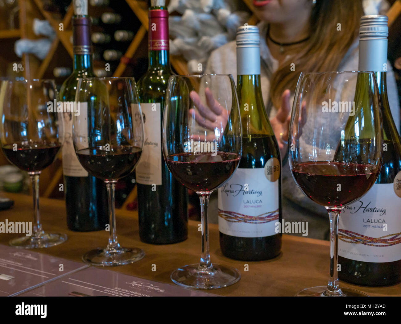 Wine tasting at Laura Hartwig winery, Santa Cruz wine region, Colchagua Valley, Chile, South America, young woman serving wine Stock Photo