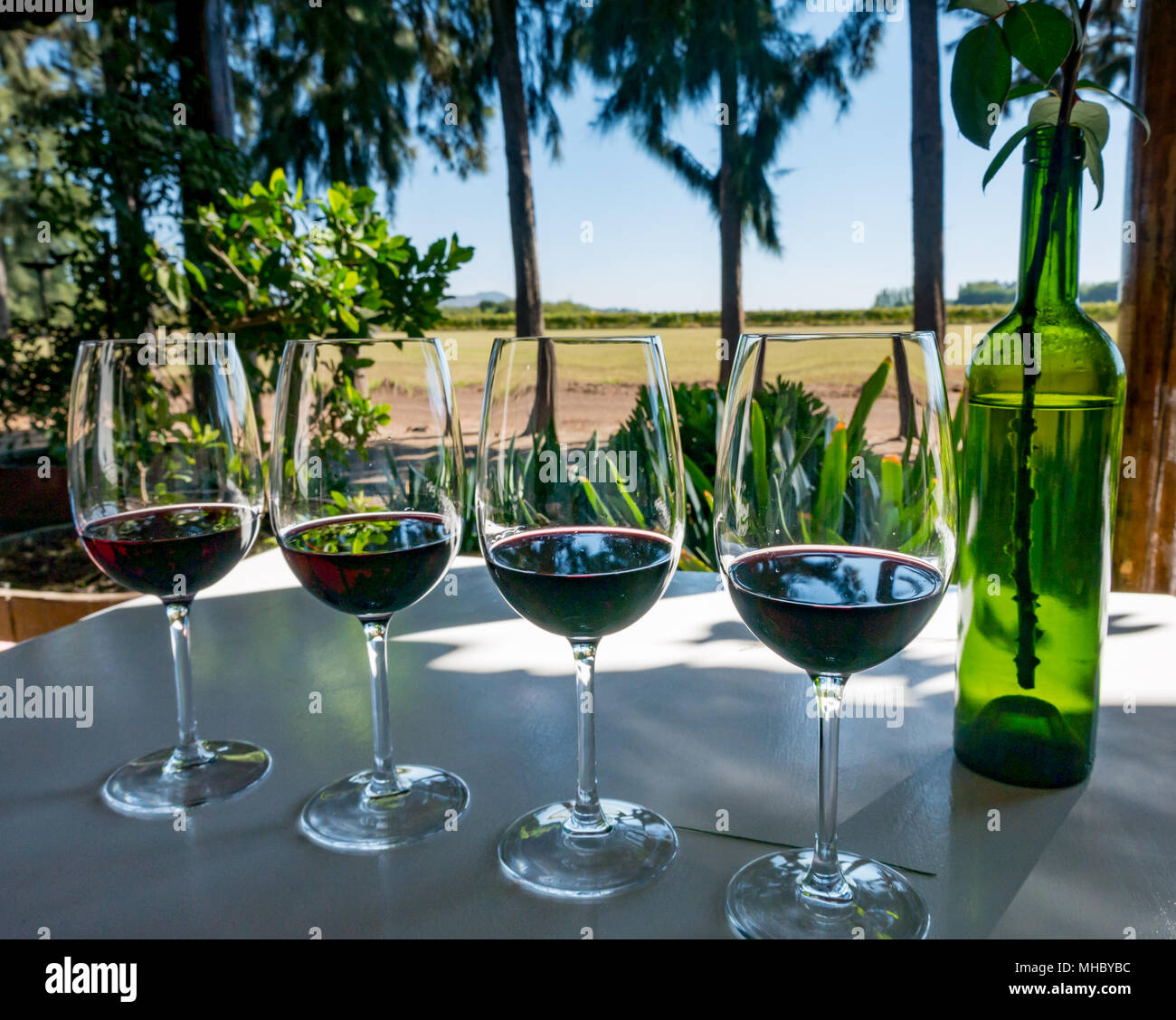 Wine tasting glasses, outside porch, at Laura Hartwig winery, Santa Cruz wine region, Colchagua Valley, Chile, South America Stock Photo