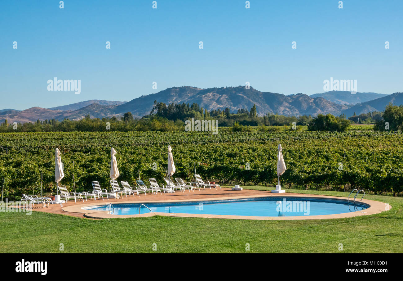Landscaped garden and swimming pool within vineyards, Hotel TerraVina, Santa Cruz wine region, Colchagua Valley, Chile, South America Stock Photo