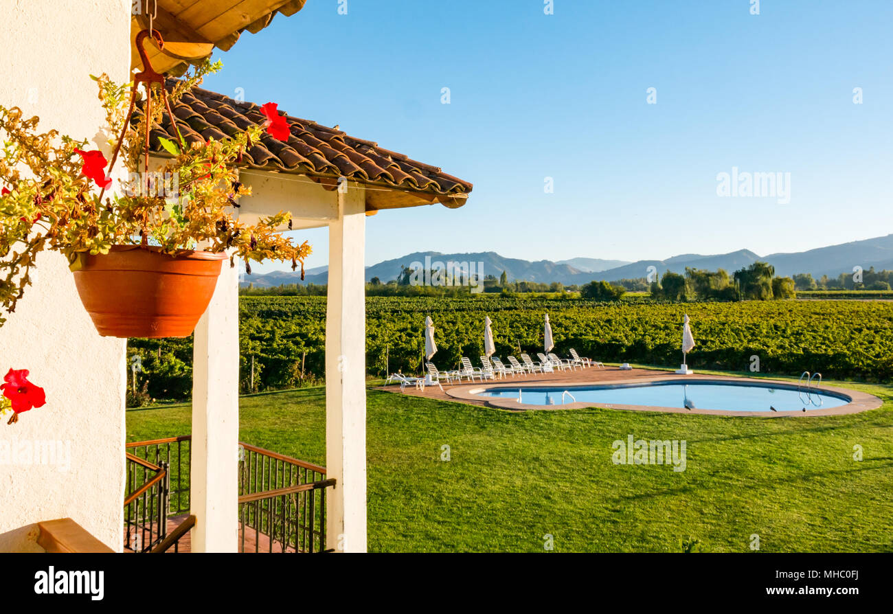 Balcony view of landscaped garden and swimming pool in vineyards, Hotel TerraVina, Santa Cruz wine region, Colchagua Valley, Chile, South America Stock Photo