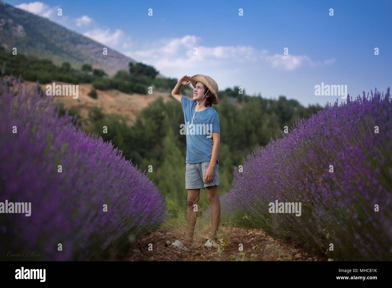 the boy in the lavender garden Stock Photo