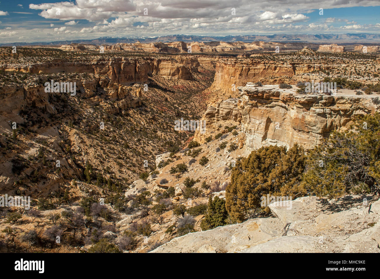 The South Fork of Coal Wash in the San Rafael Swell, as seen from a viewpoint along Interstate 70 in central Utah. Stock Photo