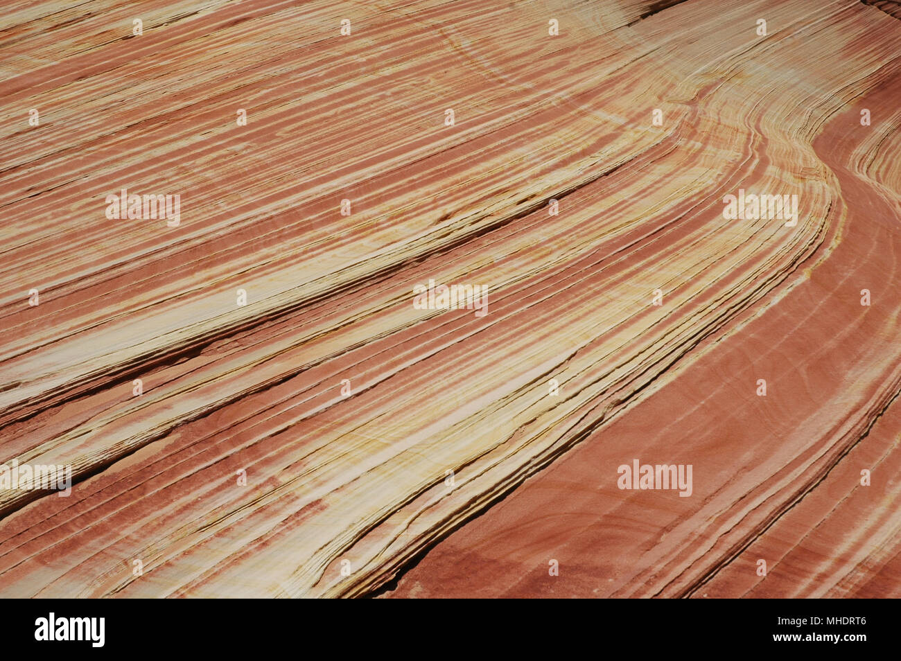The Wave, a famous petrified sand dune formation, is only accessible