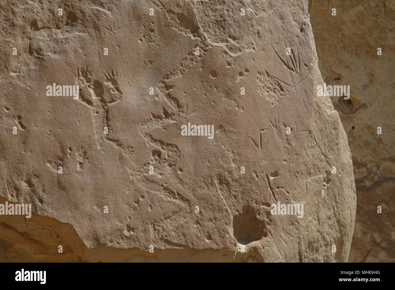 Petroglyphs, images carved into rock by Ancent Puebloan People of the American Southwest, are visible along the Petroglyph trail. Stock Photo