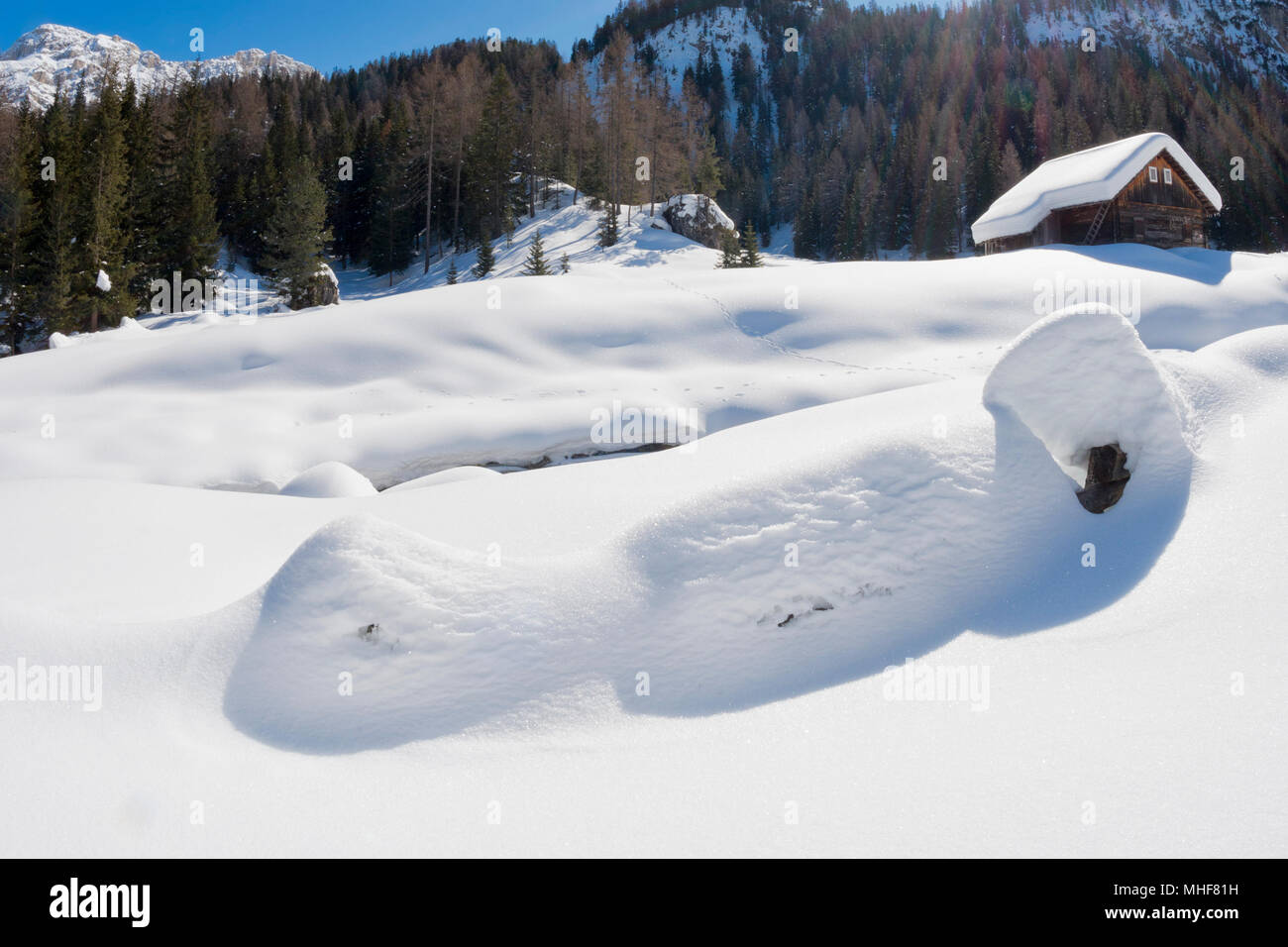 Isolated wood mountain house cabin hut covered by snow Stock Photo - Alamy