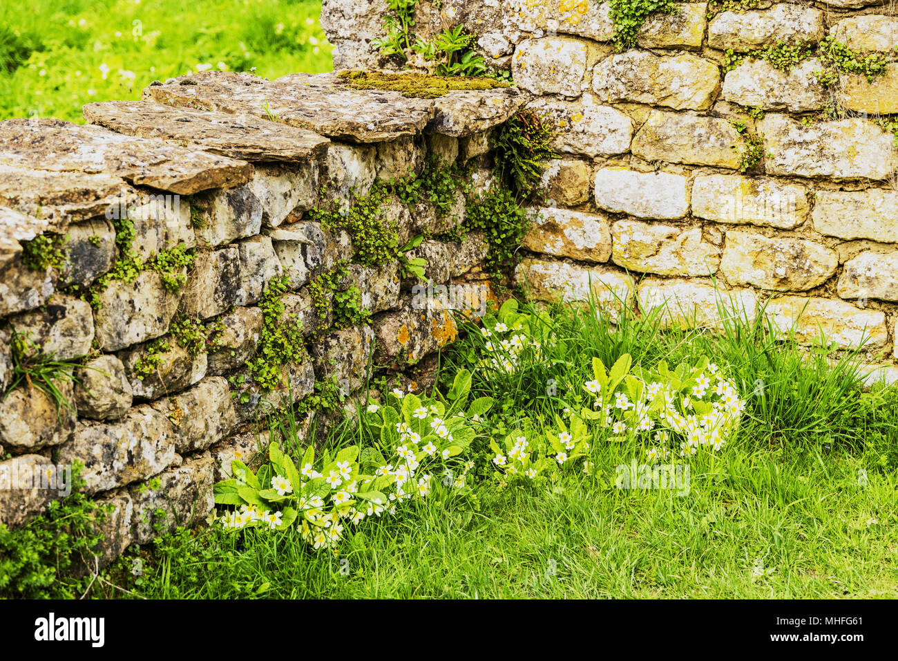 Chedworth Roman Villa Is A Roman Villa Located Near Chedworth ...