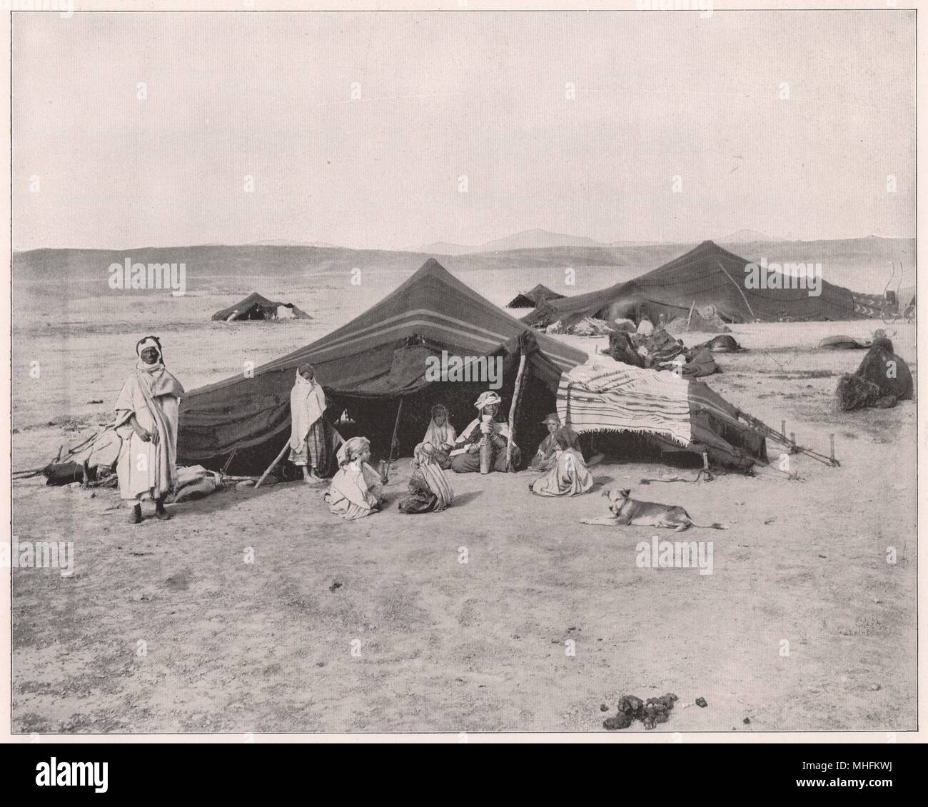 What is the camp: the difficult history of a simple word 92 What is the camp: the difficult history of a simple word 1