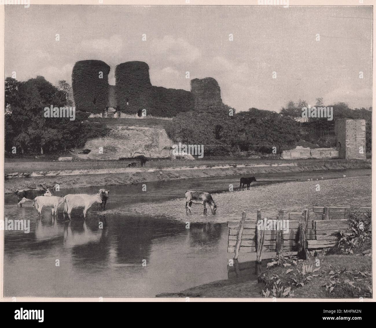 Sitsyll hires stock photography and images Alamy