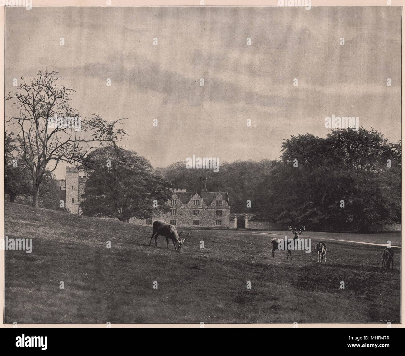 Knole park, kent hires stock photography and images Alamy