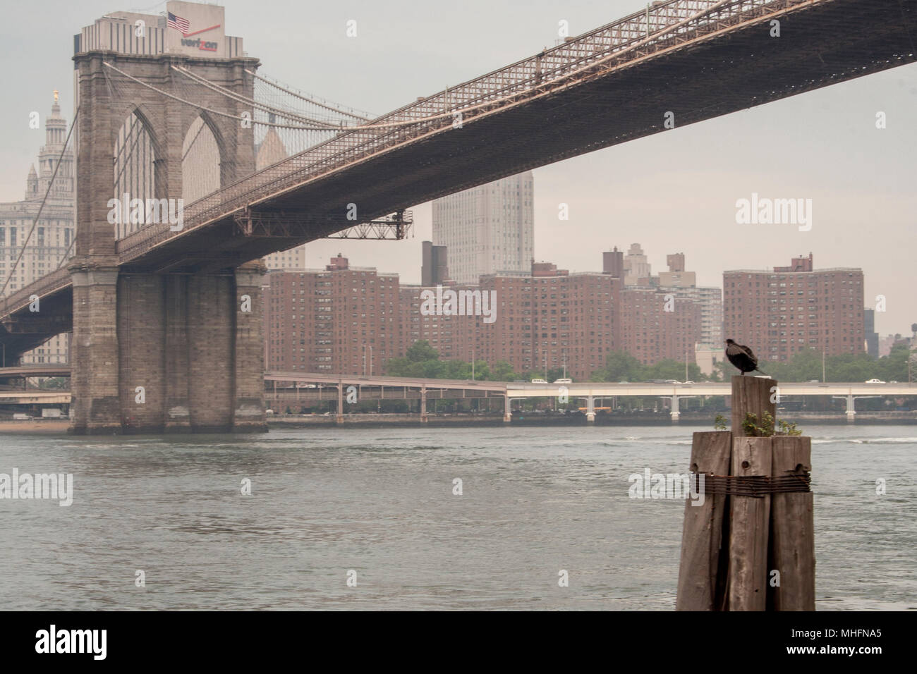 Brooklyn bridge park at night hi-res stock photography and images - Alamy