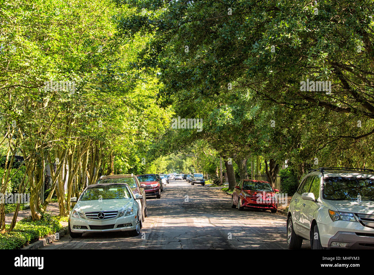 NEW ORLEANS, LAAPRIL 25, 2018 Tree lined street with cars in the