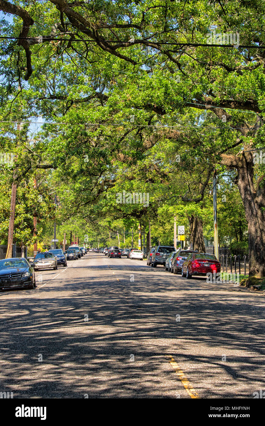 NEW ORLEANS, LAAPRIL 25, 2018 Treelined street with cars in the