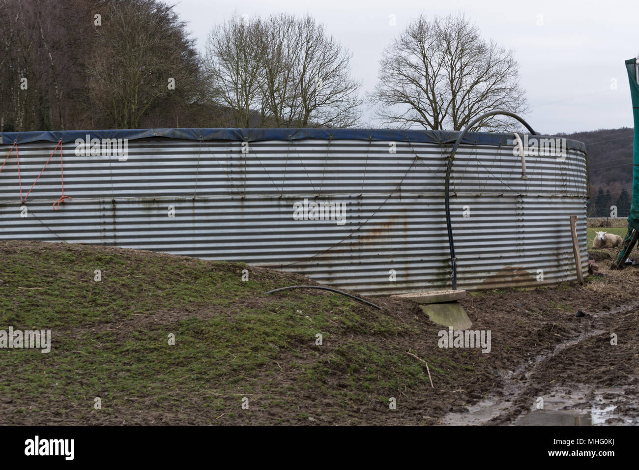 Round feed silo or grain silo made of metal Stock Photo Alamy