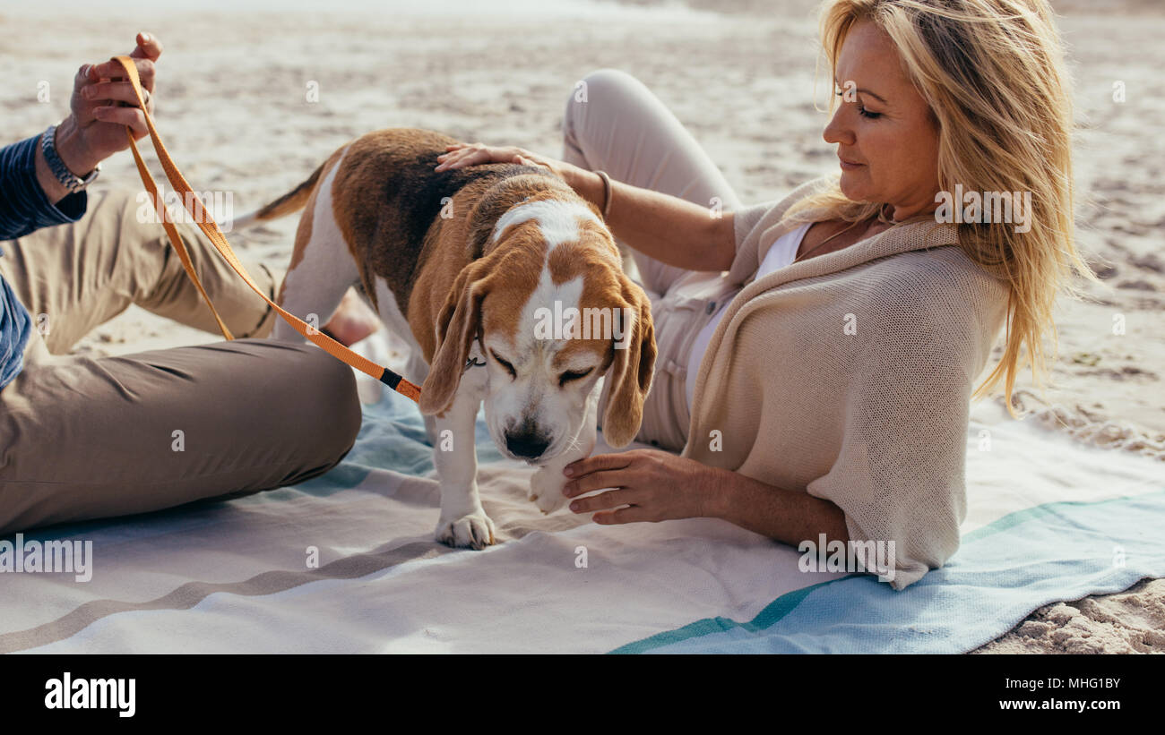 Senior woman lying on the beach towel with pet dog and her husband. Mature couple relaxing with pet puppy on the shore. Stock Photo