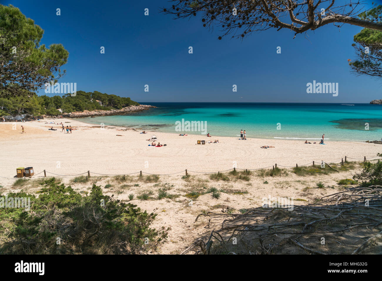 Strand und Bucht der Cala Agulla bei Cala Rajada, Mallorca, Balearen, Spanien Cala Agulla Strand und Bucht der Cala Agulla bei Cala Rajada, Mallorca, Balearen, Spanien Cala Agulla