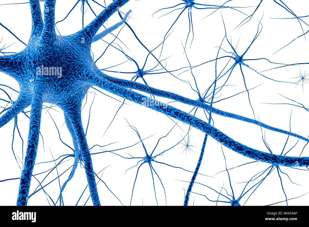The neurons of the brain cell. 3D render Stock Photo